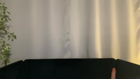 Amelia online show from January 2025 07:00:02 PM