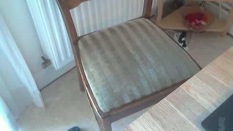 Seba online show from March 2025 11:19:01 AM