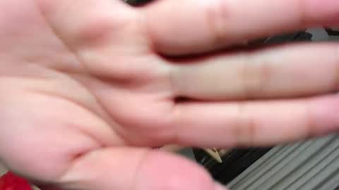 Belle online show from March 2025 07:59:02 PM