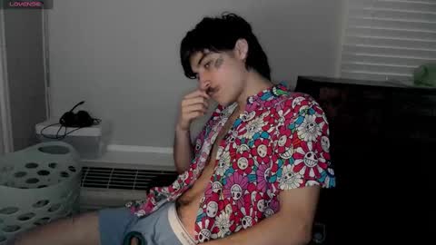 Snapshot of silly_cybin chatting on January 2025 12:55:01 PM cybin online show from January 2025 12:55:01 PM