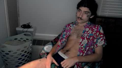 Snapshot of silly_cybin chatting on January 2025 11:17:01 AM cybin online show from January 2025 11:17:01 AM