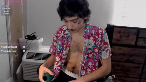 Snapshot of silly_cybin chatting on January 2025 04:10:01 PM cybin online show from January 2025 04:10:01 PM