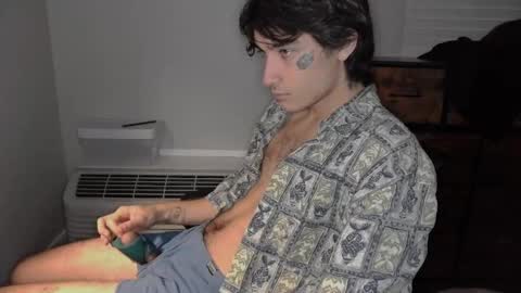 Snapshot of silly_cybin chatting on January 2025 12:07:02 PM cybin online show from January 2025 12:07:02 PM