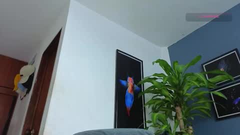 silvabranko online show from December 2025 12:17:02 AM