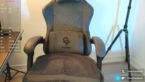 Snapshot of silverfawkesx chatting on March 2026 02:53:01 PM silverfawkesx online show from March 2026 02:53:01 PM