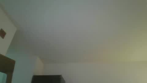 Snapshot of silverfunfox chatting on June 2026 12:38:01 AM silverfunfox online show from June 2026 12:38:01 AM