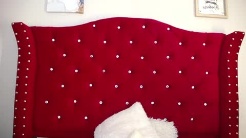 silvia_ls online show from February 2025 04:42:02 PM