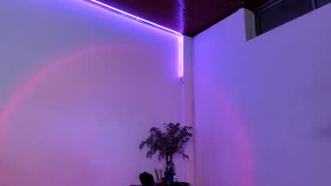 Simn online show from February 2025 06:55:02 PM