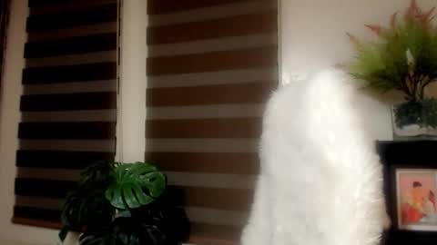 Snapshot of simplyjullia chatting on January 2026 09:24:01 AM online show from January 2026 09:24:01 AM