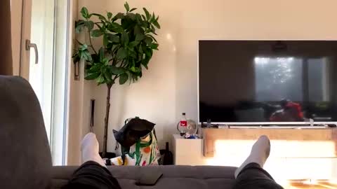 sincarro online show from November 2025 11:21:02 AM