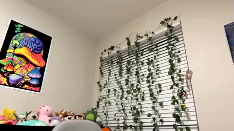 Sincerelyneon online show from January 2025 01:21:02 AM