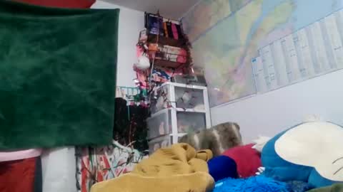 Siofra online show from September 2025 02:22:02 AM