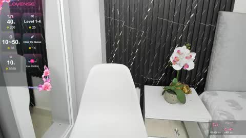 Snapshot of sisi_rosex chatting on February 2025 12:19:01 PM Shopia online show from February 2025 12:19:01 PM