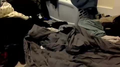 Kora online show from October 2025 06:36:02 AM