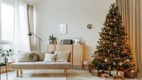 Snapshot of siswet19 chatting on December 2024 02:02:01 PM Elise online show from December 2024 02:02:01 PM