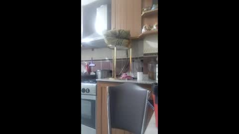 Snapshot of siyahkedy2 chatting on February 2026 09:43:01 PM siyahkedy2 online show from February 2026 09:43:01 PM