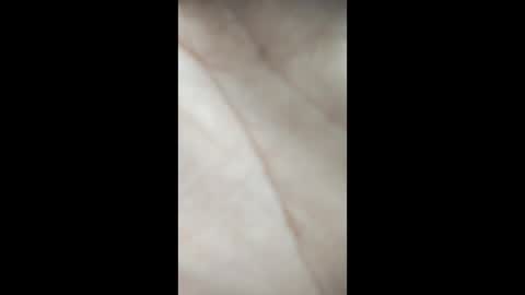 Snapshot of siyahkedy2 chatting on February 2026 08:26:01 AM siyahkedy2 online show from February 2026 08:26:01 AM