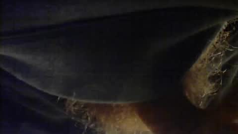 Snapshot of sjim368 chatting on December 2025 01:17:04 PM sjim368 online show from December 2025 01:17:04 PM