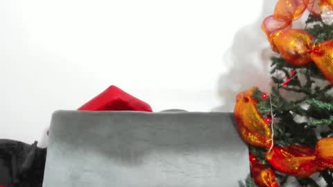 Skarleth online show from December 2024 12:16:02 PM