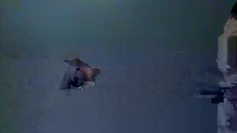 skeeter4fun73 online show from December 2025 01:40:02 PM