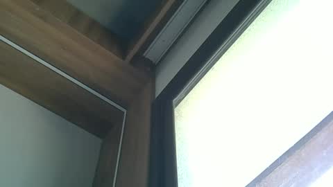 Snapshot of skinnykittencam chatting on October 2025 03:10:02 PM skinnykittencam online show from October 2025 03:10:02 PM