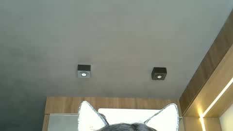 Snapshot of skinnykittencam chatting on October 2025 05:13:02 PM skinnykittencam online show from October 2025 05:13:02 PM