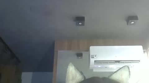 skinnykittencam online show from November 2025 06:55:02 PM
