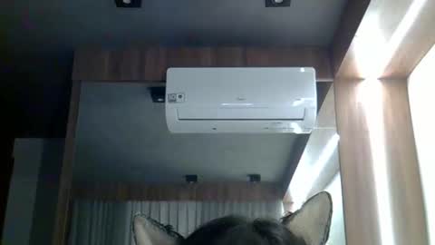 skinnykittencam online show from February 2026 02:49:02 AM