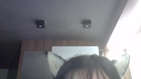 skinnykittencam online show from April 2026 03:15:01 AM