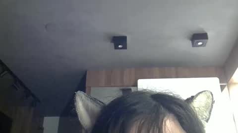 skinnykittencam online show from April 2026 04:28:01 AM
