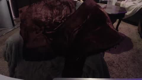 SKYLE   online show from September 2025 07:01:01 AM