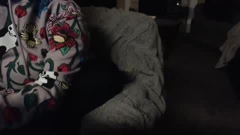 Snapshot of skyblu1 chatting on April 2026 03:09:01 AM SKYLE online show from April 2026 03:09:01 AM