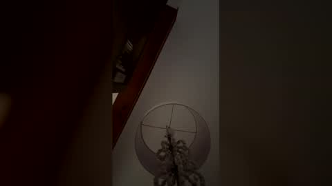 Snapshot of skywinters chatting on March 2026 01:33:01 PM Sky Winters online show from March 2026 01:33:01 PM