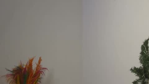 Bella online show from February 2025 12:08:02 AM