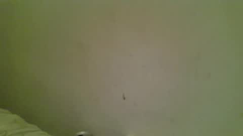 Bottmboitwink online show from October 2025 06:16:02 AM