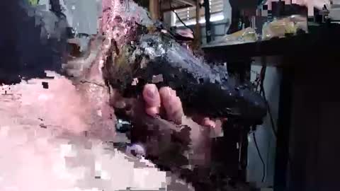 sliderguy699 online show from December 2024 04:59:02 PM