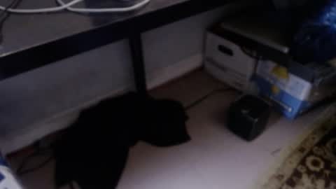 sliderguy699 online show from April 2026 10:48:02 PM