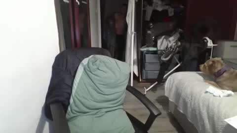 Slim984 online show from November 2025 04:44:02 AM