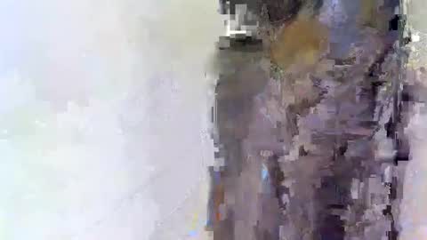 slim_me online show from April 2026 08:54:01 AM