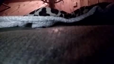 Snapshot of slurryyy chatting on March 2026 01:38:01 AM slurryyy online show from March 2026 01:38:01 AM