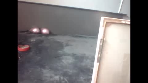 slutviki online show from February 2026 10:14:02 AM