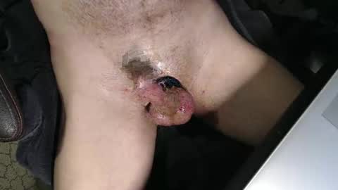 Snapshot of slyfast1 chatting on April 2026 04:43:01 AM slyfast1 online show from April 2026 04:43:01 AM