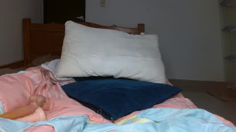 Snapshot of smallbrenda21 chatting on October 2025 04:51:02 PM brenda online show from October 2025 04:51:02 PM