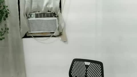 Julia online show from November 2025 01:22:01 PM