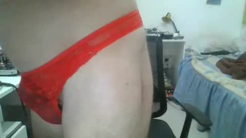 willy online show from February 2026 08:56:02 PM