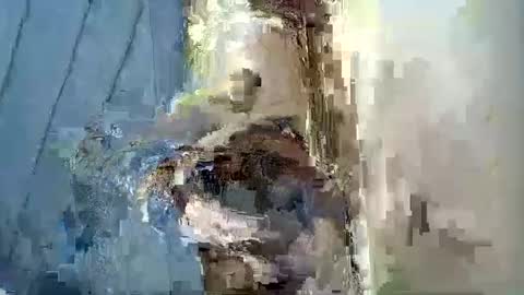 Snapshot of smiley_berry chatting on September 2025 07:30:02 PM smiley_berry online show from September 2025 07:30:02 PM