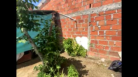 Smith  online show from December 2024 05:01:01 PM