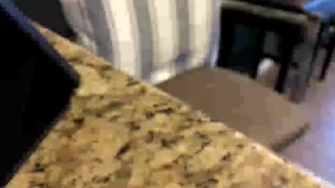 Peter Johnson online show from July 2026 06:47:02 PM