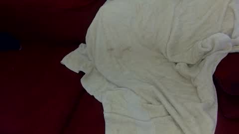 smolqt online show from March 2026 09:11:01 PM