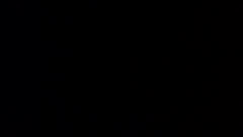 AllDayIDream online show from January 2025 11:26:02 AM